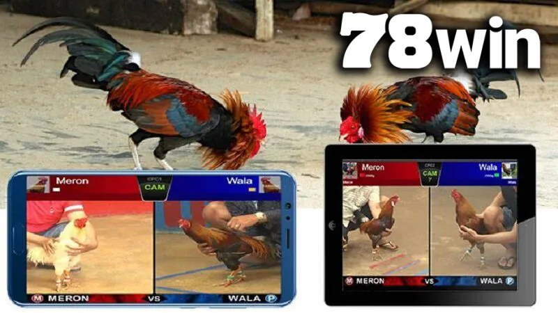 Mỗi trận đấu tại 78WIN được phát sóng trực tiếp 4K từ Thomo, Cỏ Xanh, Pasay